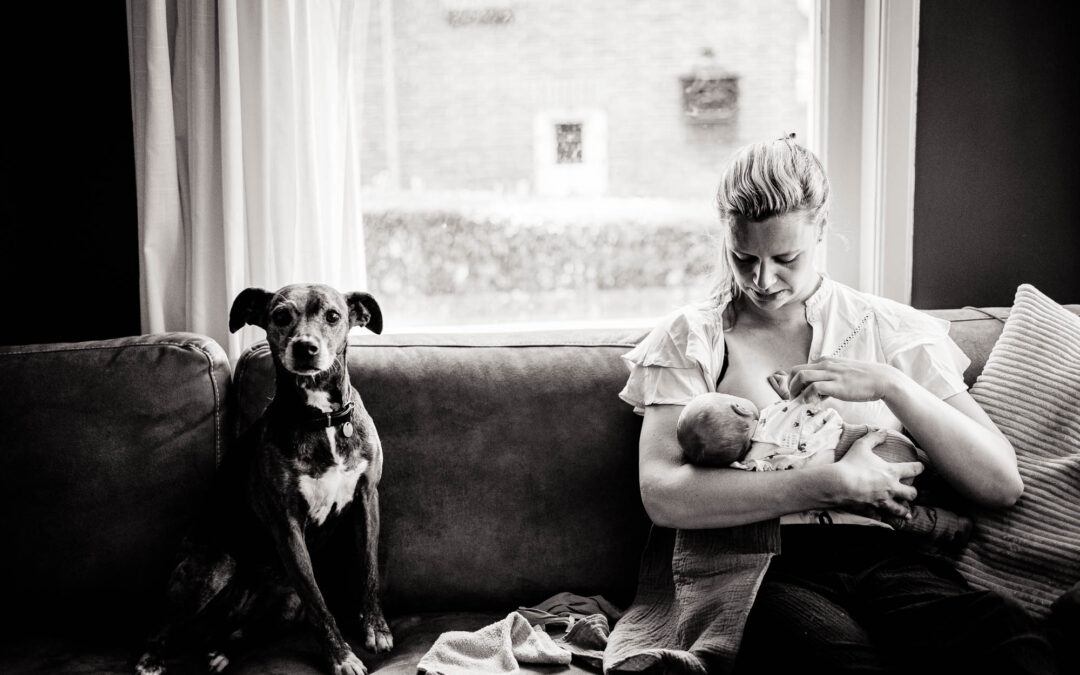 Newbornfotograaf Friesland, Nickie Fotografie. Lifestyle babyshoot, Hond is erbij wanneer er borstvoeding wordt gegeven.
