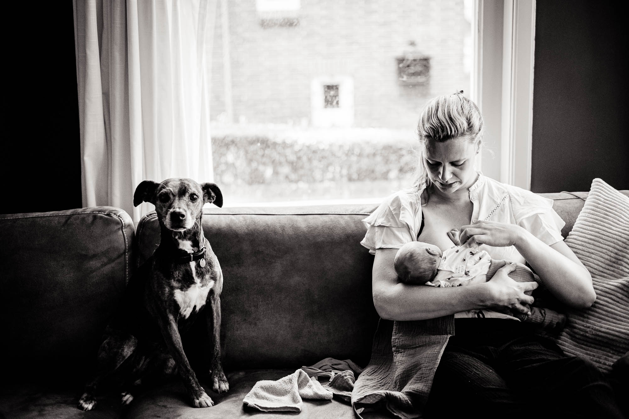 Newbornfotograaf Friesland, Nickie Fotografie. Lifestyle babyshoot, Hond is erbij wanneer er borstvoeding wordt gegeven.