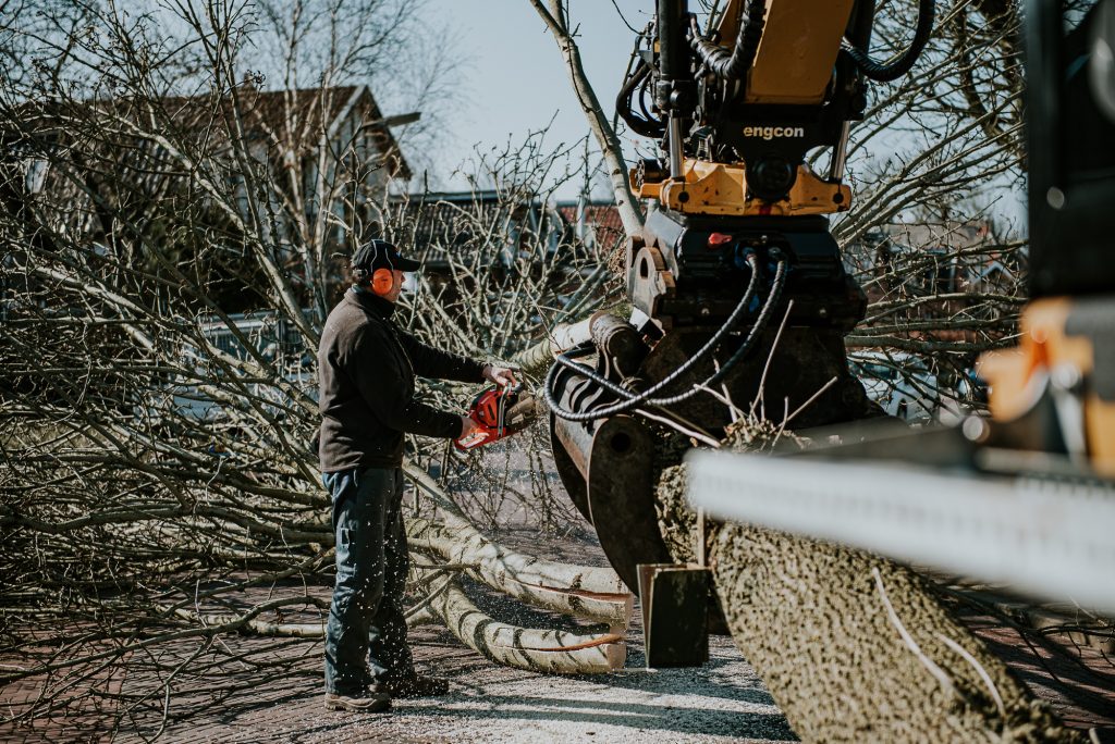 Grote boom wordt ontdaan van de grote takken. Bedrijfreportage Friesland door bedrijfsfotograaf Nickie Fotografie uit Dokkum.