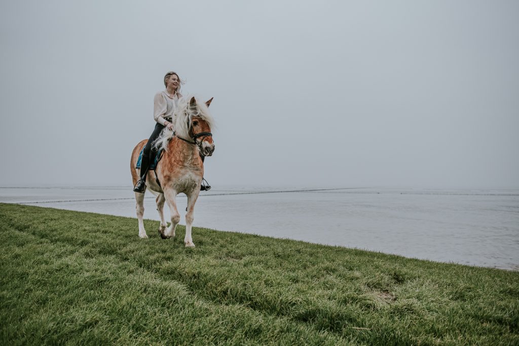 Paardenfotografie op de zeedijk door fotograaf Nickie Fotografie uit Dokkum, Friesland.