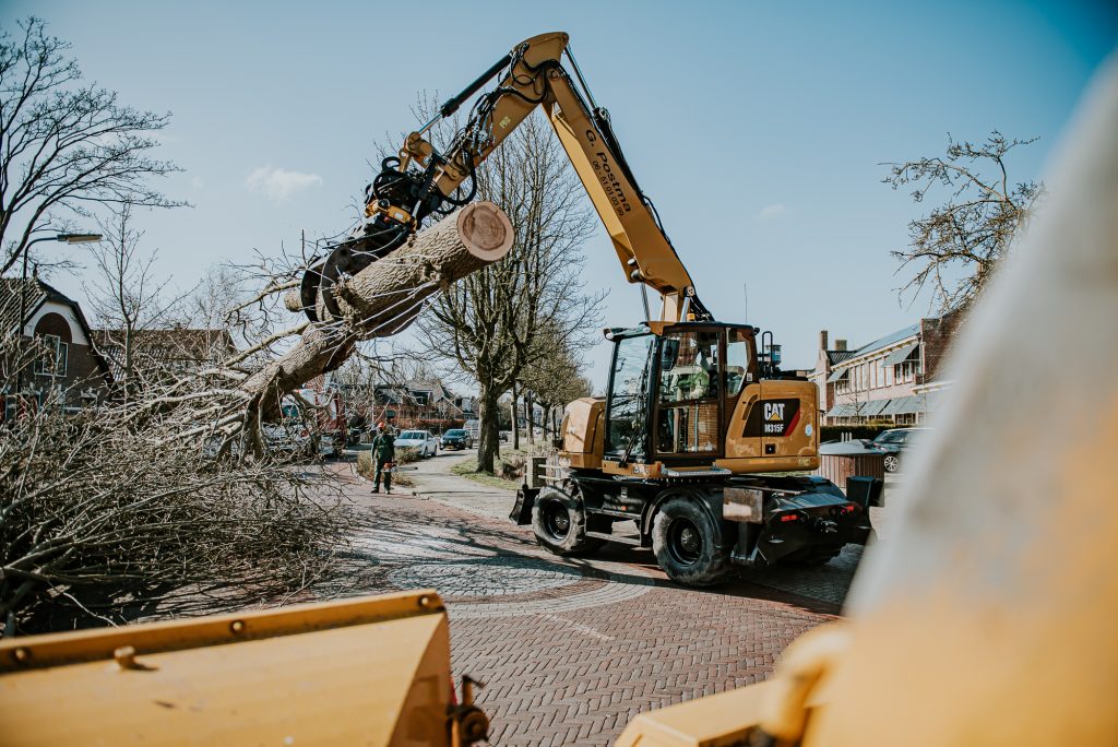 Grote es wordt omgezaagd met behulp van een kraan. Bedrijfsfotografie Friesland door bedrijfsfotograaf NIckie Fotografie uit Dokkum.