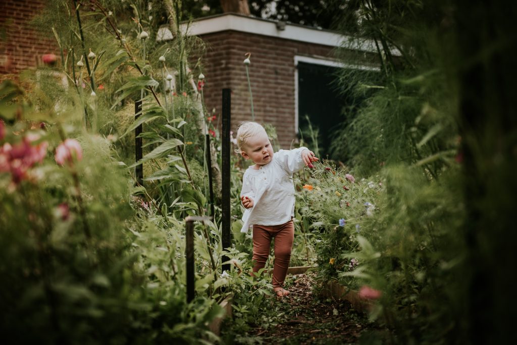Dreumes in bloementuin door portretfotograaf Nickie Fotografie uit Dokkum, Friesland