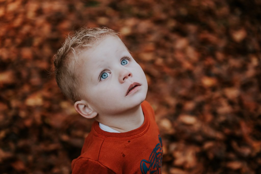 Kinderportret Friesland door fotograaf Nickie Fotografie uit Dokkum. Portret van klein jongetje dat omhoog kijkt met herfstbladeren op de achtergrond.