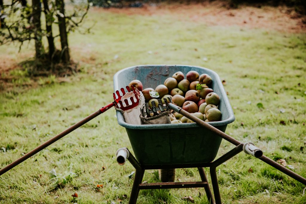 Een kruiwagen vol met lekkere appels. Fotoreportage door fotograaf Nickie Fotografie uit Friesland,