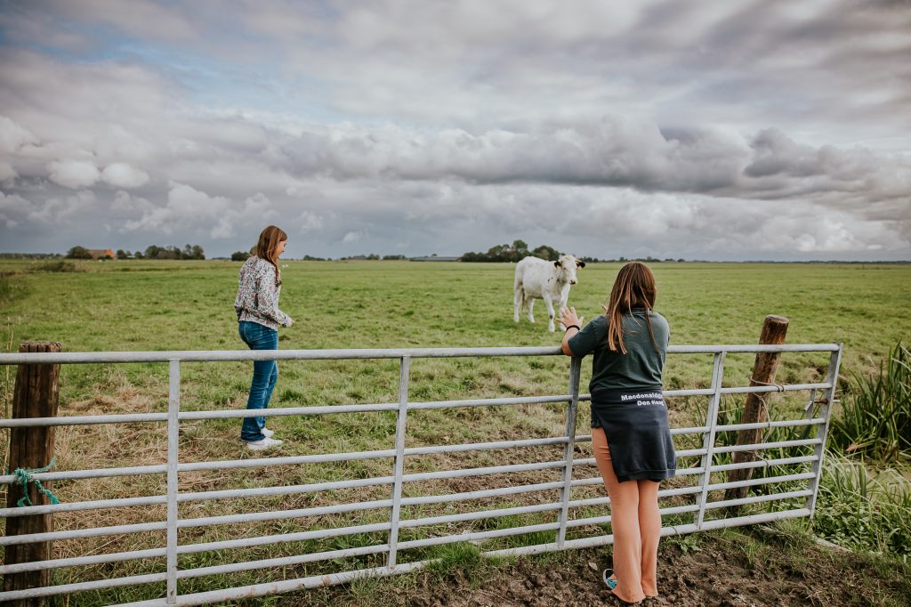 Durven we naar de koe toe? Lifestyle familieshoot in Friesland door fotograaf Nickie Fotografie uit Dokkum.