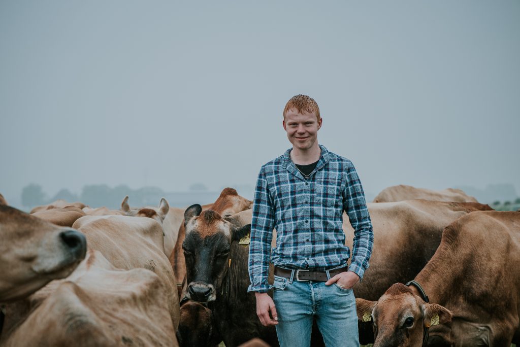 Portret in een weiland vol met Jersey koeien door fotograaf Nickie Fotografie uit Dokkum, Friesland