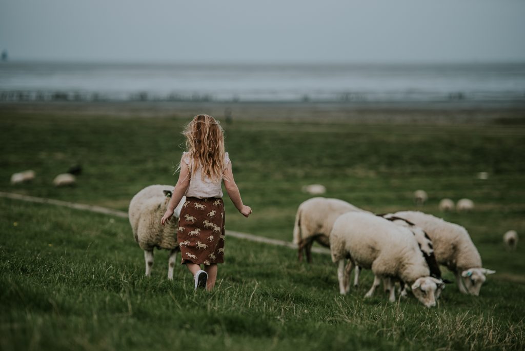 Meisje op de zeedijk bij de Waddenzee tussen de schapen tijdens de fotoshoot door fotograaf Nickie Fotografie uit Dokkum, Friesland.