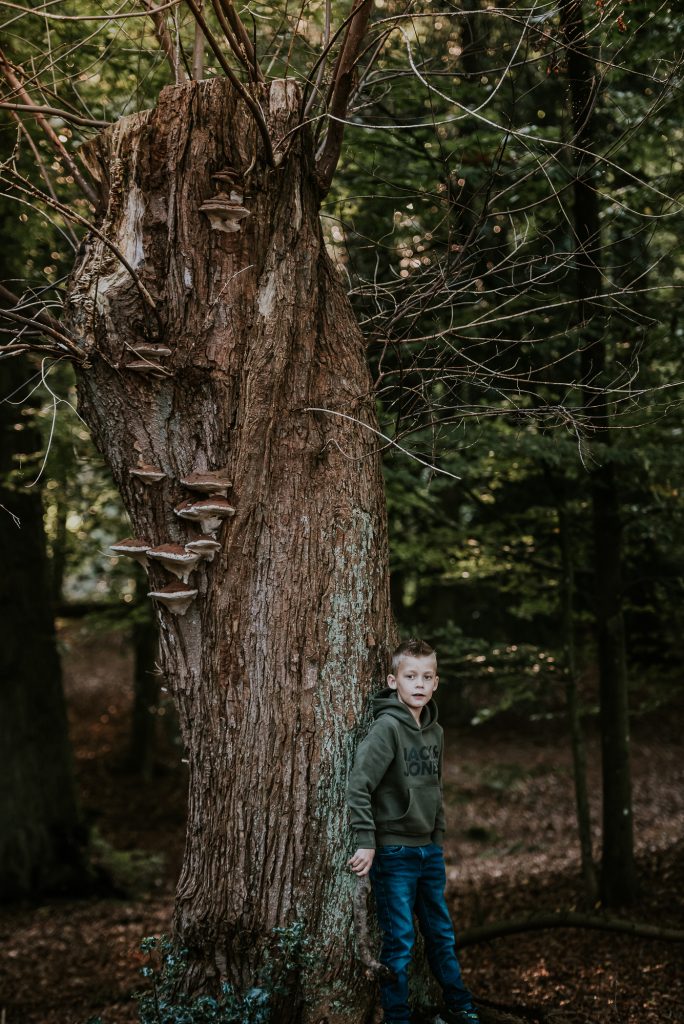 Kinderportret in de bossen van Friesland, Veenklooster, door fotograaf Nickie Fotografie uit Dokkum.