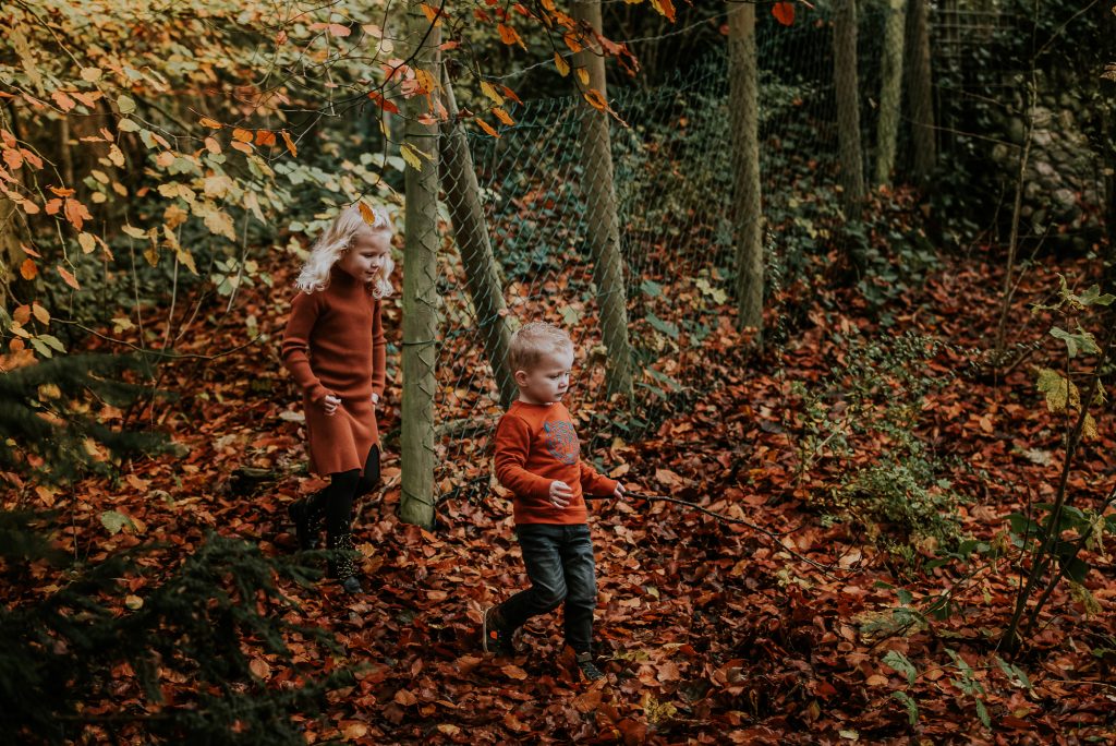 Fotoreportage Friesland. Kinderen spelen in het bos in de herfst. Fotoshoot door fotograaf Nickie Fotografie uit Dokkum, Friesland.