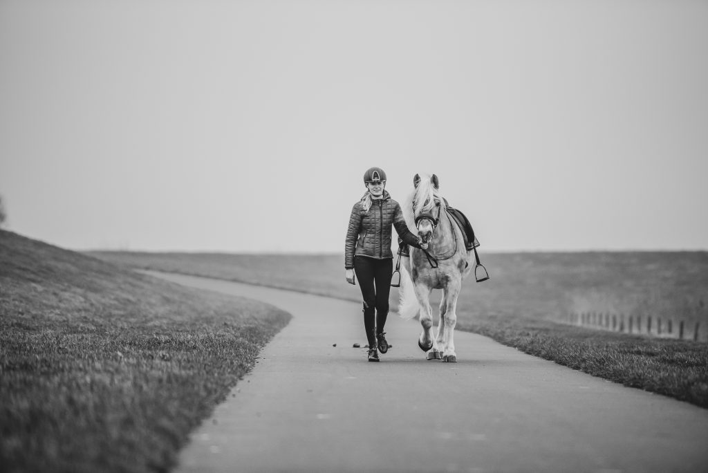 Paard en ruiter samen aan het wandelen bij de Waddenzee. Paardenfotografie door fotograaf Nickie Fotografie uit dokkum, Friesland.