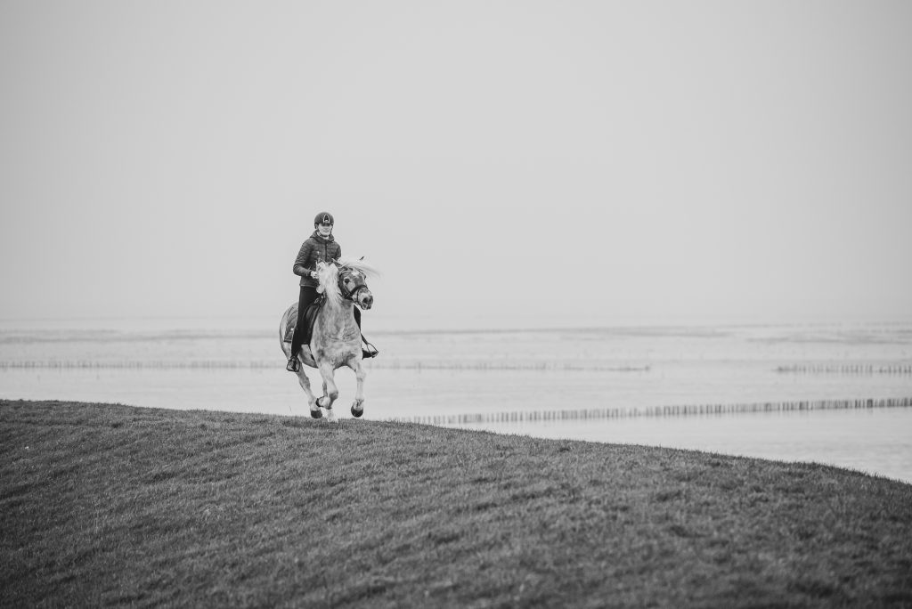 Paardrijden op de dijk bij de Waddenzee. Paarden fotoshoot door fotograaf Nickie Fotografie uit Dokkum, Friesland.