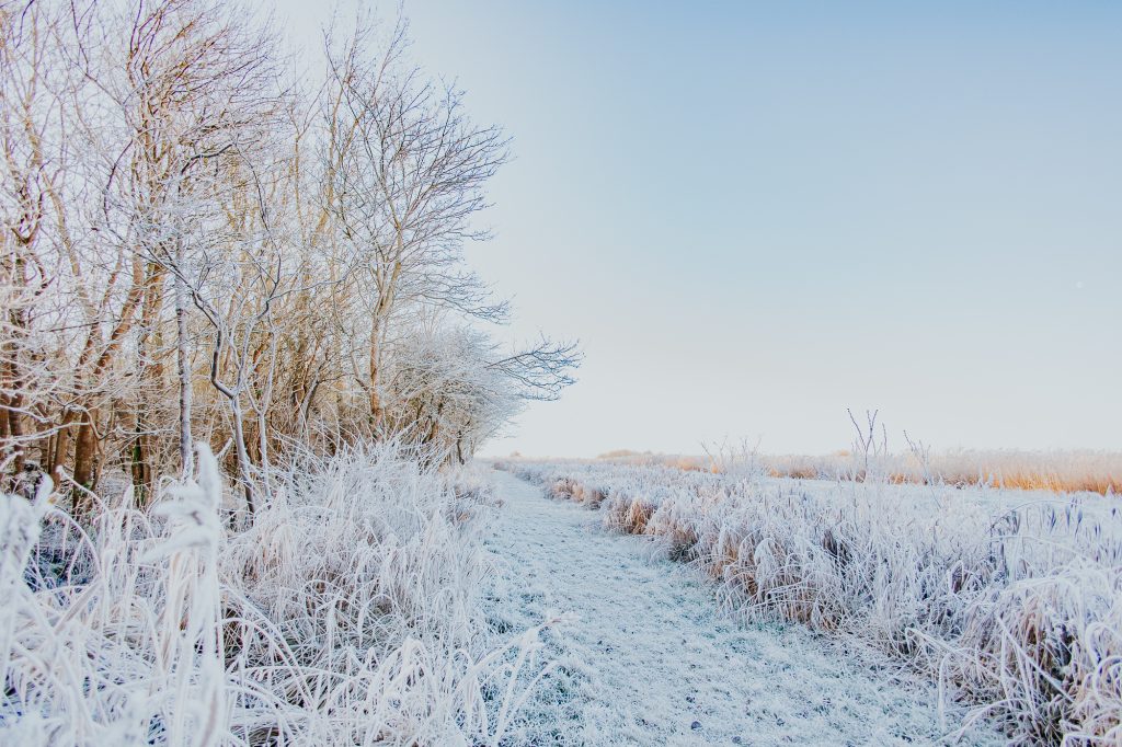 Lauwersmeer in de winter. landschapsshoot door fotograaf Nickie Fotografie uit Friesland.