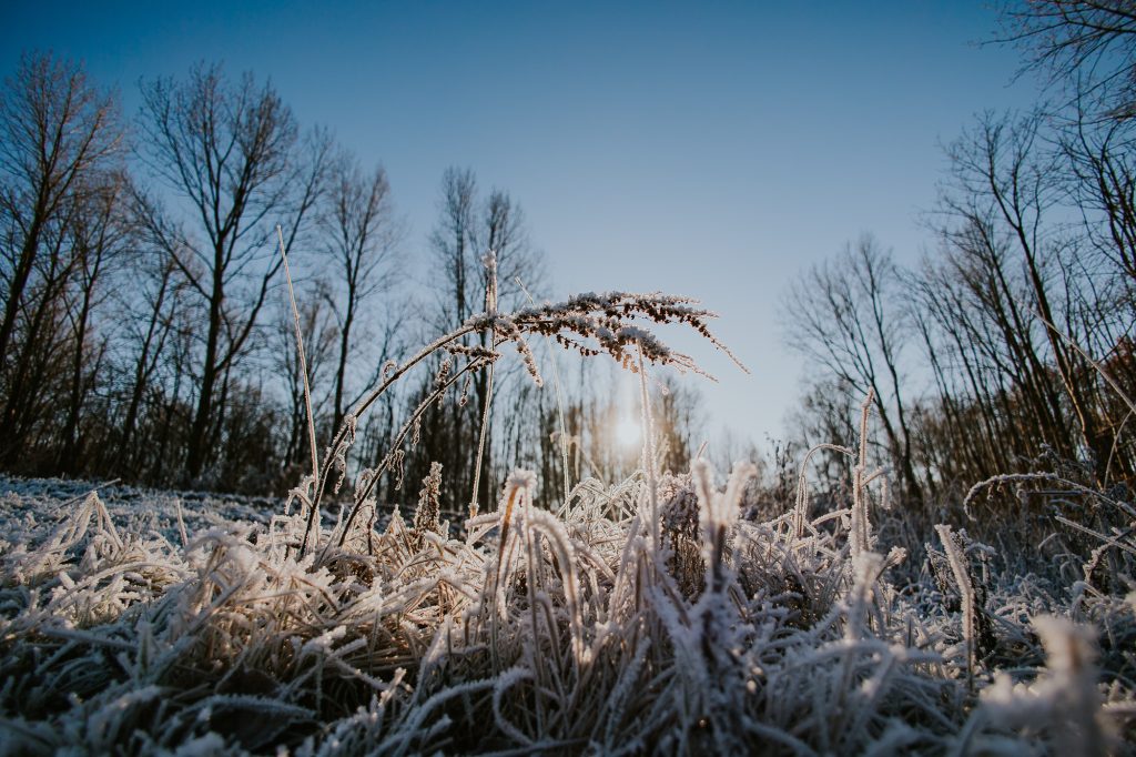 Winter in Nederland. Natuurfotografie met ijzel door fotograaf Nickie Fotografie uit Friesland.