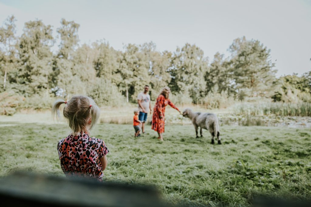 Ons gezin bij kinderboerderij Naturij. Kijken bij de schapen. Fotoshoot door fotograaf Nickie Fotografie uit Friesland.