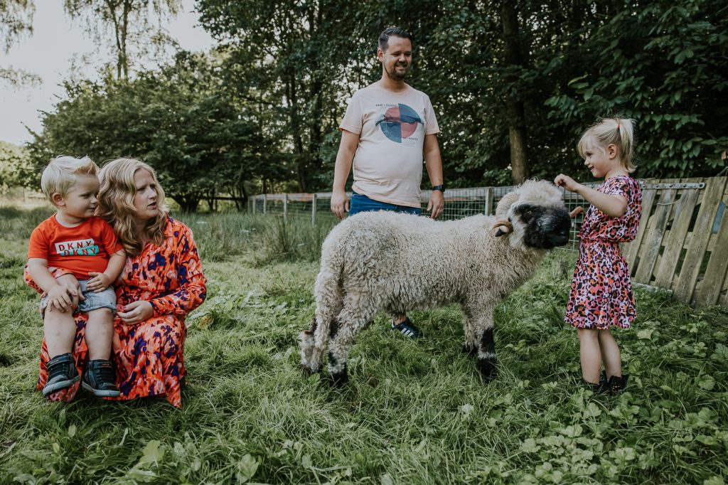 Fotoshoot Friesland door fotograaf Nickie Fotografie. Fotosessie bij de schapen in de Naturij.