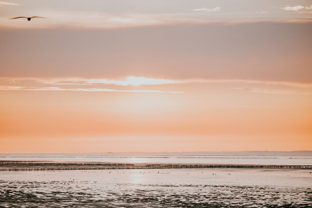 Waddenzee bij zonsondergang door bedrijfsfotograaf NIckie Fotografie uit Dokkum, Friesland.
Bedrijfsfotografie Friesland, Roos Makelaars
