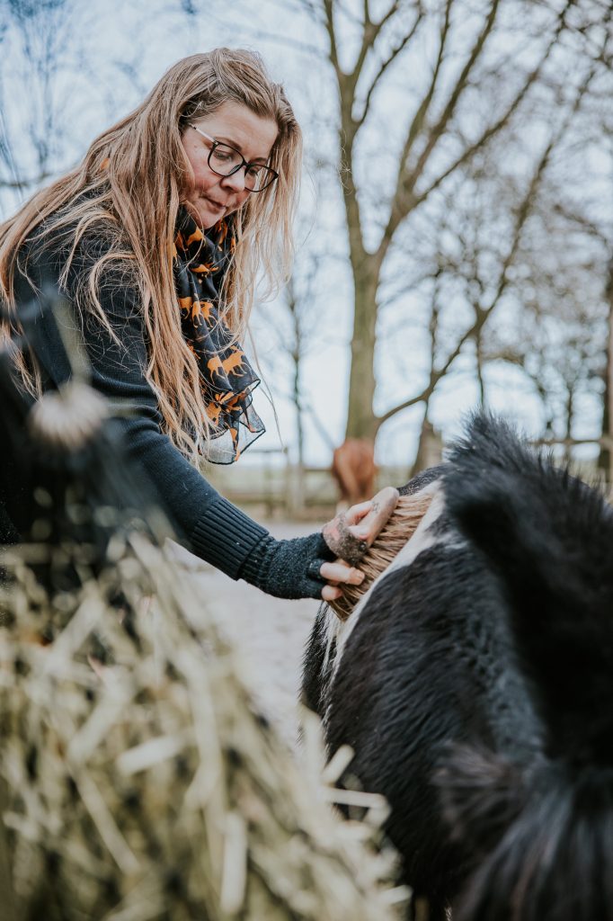Paardenfotografie Friesland. Paardenverzorging bij paardencoaching Parzival Paard en Coaching. Bedrijfsfotografie door bedrijfsfotograaf Nickie Fotografie.