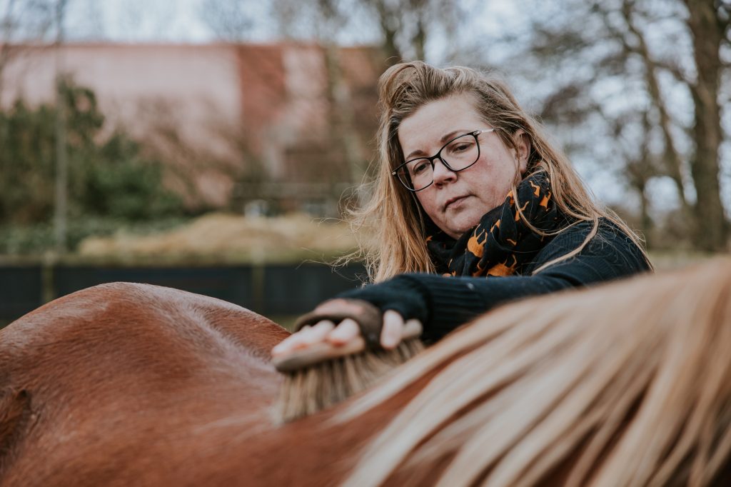 HSP Magazine, paardencoaching. Paardenfotografie door bedrijfsfotograaf Nickie Fotografie uit Dokkum, Friesland.