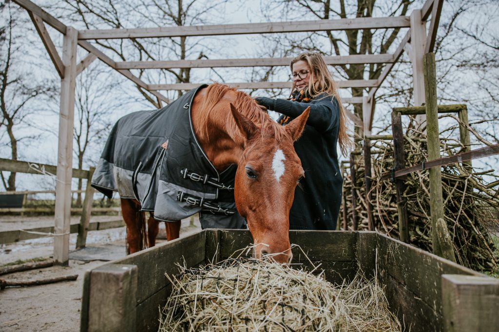 HSP Magazine, paardencoaching. Bedrijfsreportage bij Nelleke uit Ginnum van Parzival Paard en Coaching.