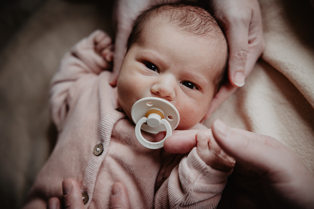 Newbornfotograaf Friesland. Newbornshoot door Nickie Fotografie uit Dokkum. Baby in roze pakje met speen kijkend in de camera met de handen van de ouders.