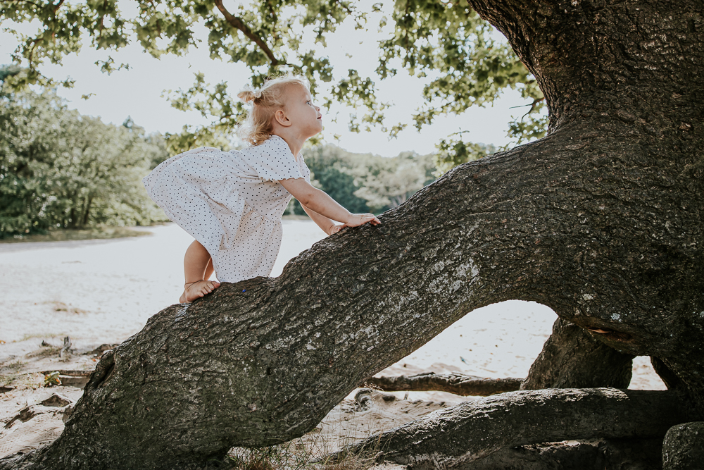 Kinderfotografie Bakkeveen. Klein meisje klimt helemaal zelf in de boom. Kindershoot door fotograaf Nickie Fotografie uit Friesland.