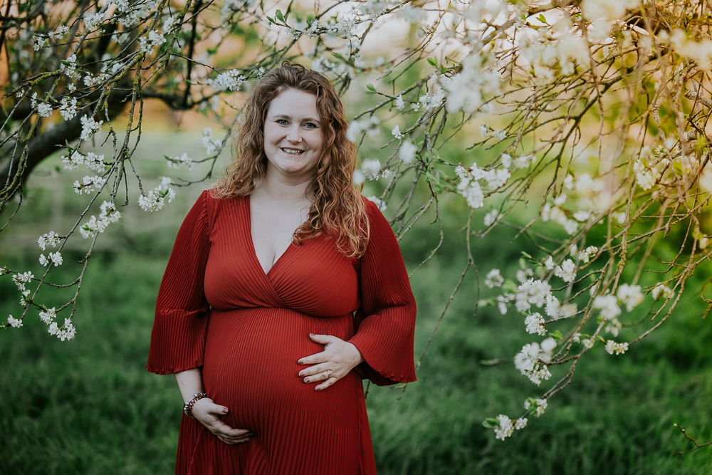 Bollebuik fotografie tussen de bloesem door fotograaf Nickie Fotografie uit Dokkum, Friesland.