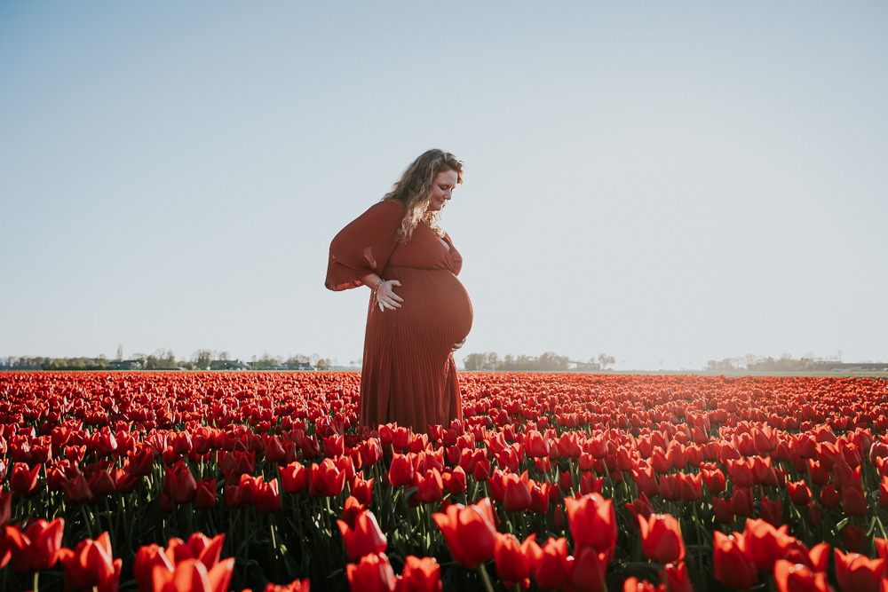 Bolle buikshoot tussen de rode tulpen in de door fotograaf Nickie Fotografie.
