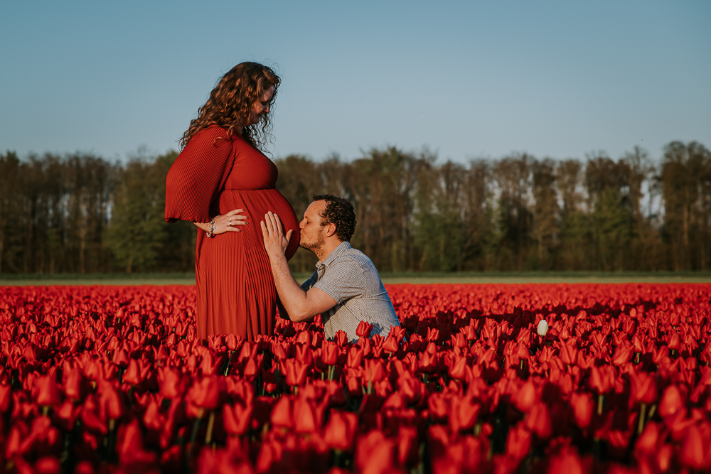 Zwangerschapsshoot tussen de tulpen. Aanstaande vader kust de bolle buik. Bolle buik fotografie door fotograaf Nickie Fotografie uit Dokkum, Friesland.