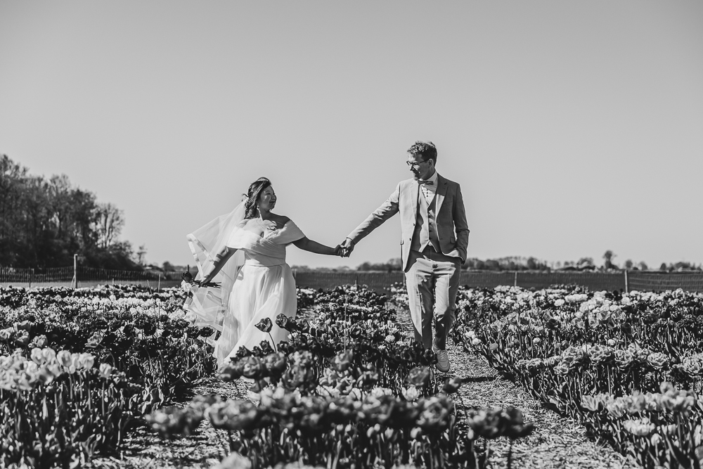 Fotograaf Friesland. Bruidspaar wandelt hand in hand door tulpenveld. Fotoshoot door Nickie Fotografie.
