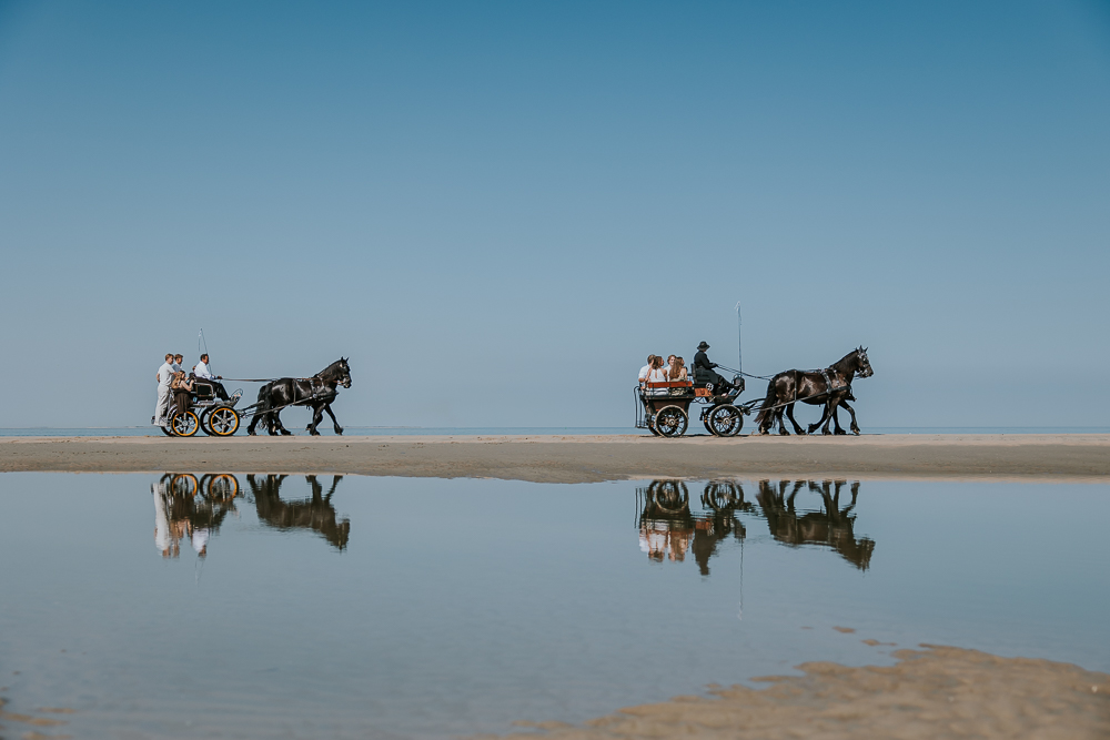 Trouwkoetsen met tweespan op het strand van Ameland. Trouwreportage door bruidsfotograaf Nickie Fotografie uit Friesland.
